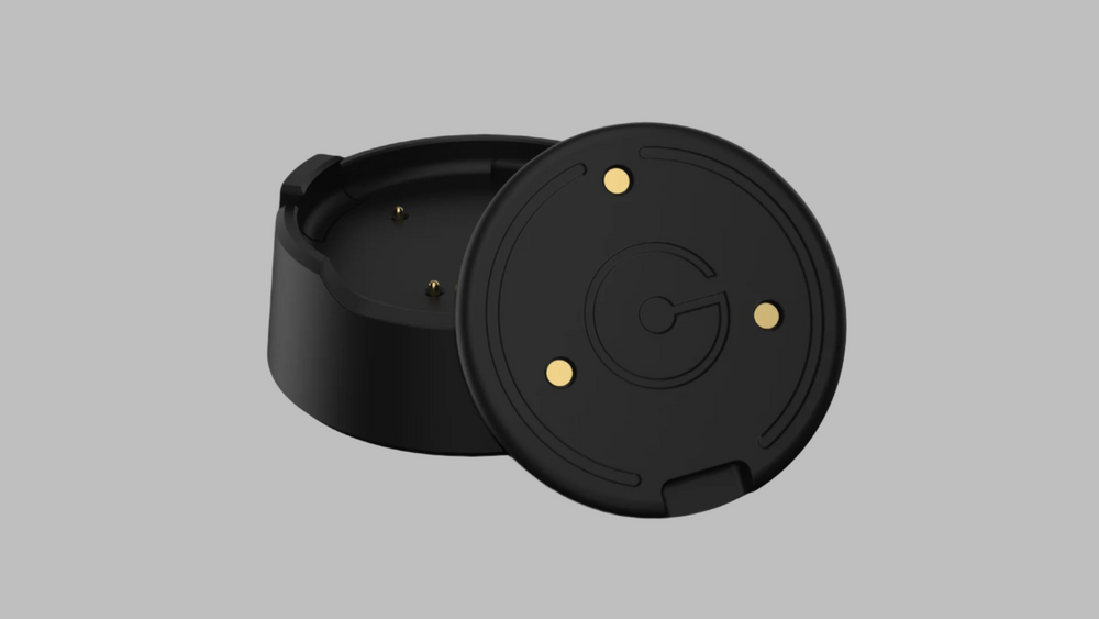 Heir Charger (Extra)