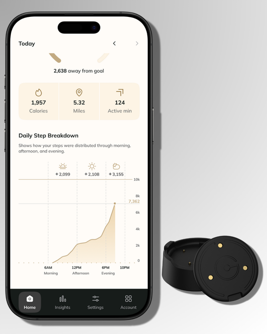 (Pre-Order) Ganance Heir