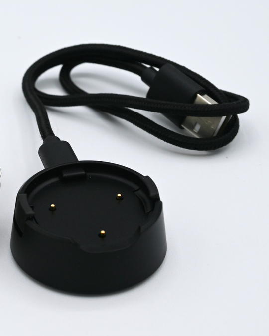 Heir Charger (Extra)